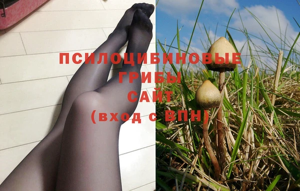 ГАЛЛЮЦИНОГЕННЫЕ ГРИБЫ Алексеевка